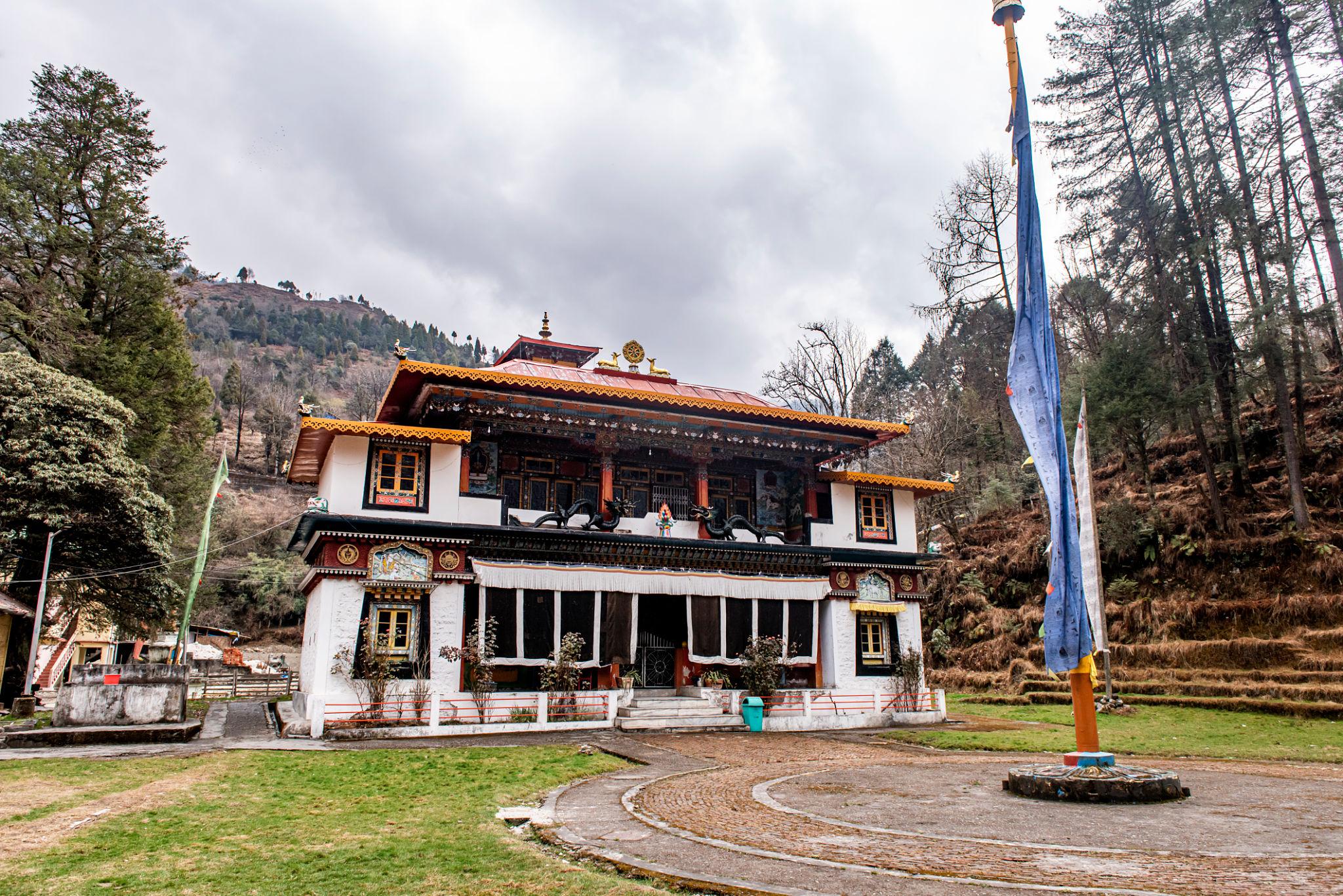Lachung and Yumthang Valley – Flower valley, Sikkim