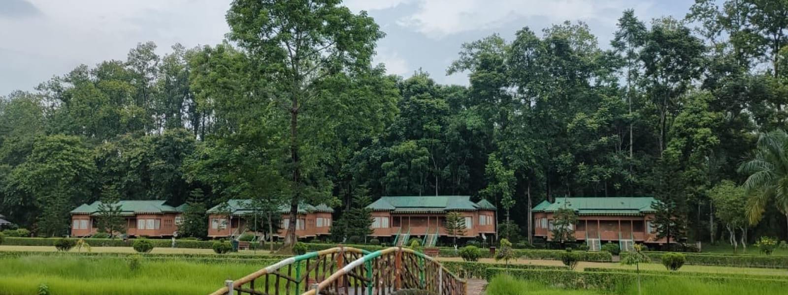 Lataguri Forest Camp – Dooars, West Bengal